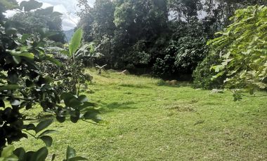 Arriendo Finca - Vereda Hospicio - La Mesa