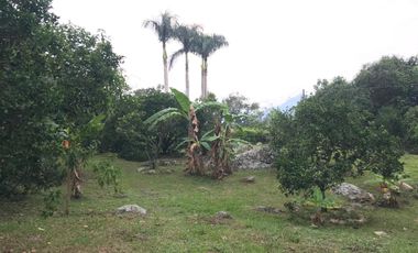 Arriendo Finca - Vereda Hospicio - La Mesa