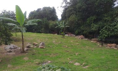 Arriendo Finca - Vereda Hospicio - La Mesa