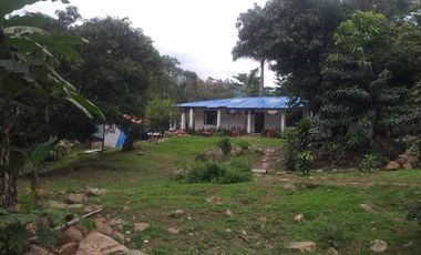 Arriendo Finca - Vereda Hospicio - La Mesa