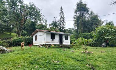 Arriendo Finca - Vereda Hospicio - La Mesa