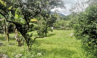 Arriendo Finca - Vereda Hospicio - La Mesa