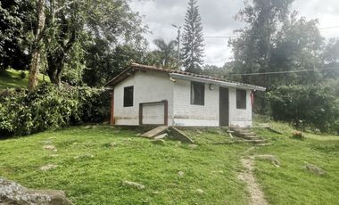 Arriendo Finca - Vereda Hospicio - La Mesa