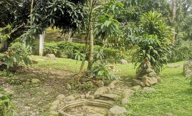 Arriendo Finca - Vereda Hospicio - La Mesa