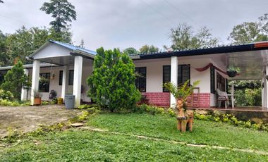 Arriendo Finca - Vereda Hospicio - La Mesa