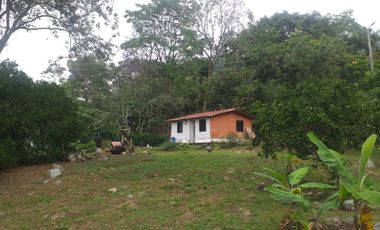 Arriendo Finca - Vereda Hospicio - La Mesa