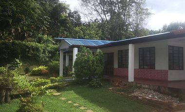 Arriendo Finca - Vereda Hospicio - La Mesa