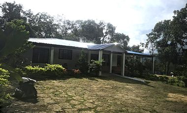 Arriendo Finca - Vereda Hospicio - La Mesa