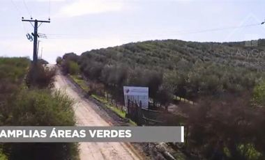 Sitio en Venta en Fundo los Olivos Camino a Pencahue a 10 Minutos de Talca