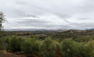 Sitio en Venta en Fundo los Olivos Camino a Pencahue a 10 Minutos de Talca