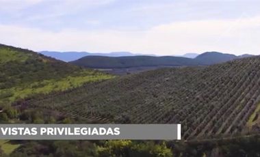 Sitio en Venta en Fundo los Olivos Camino a Pencahue a 10 Minutos de Talca