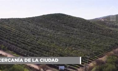Sitio en Venta en Fundo los Olivos Camino a Pencahue a 10 Minutos de Talca