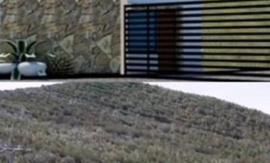 Sitio en Venta en Fundo los Olivos Camino a Pencahue a 10 Minutos de Talca
