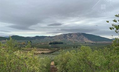Sitio en Venta en Fundo los Olivos Camino a Pencahue a 10 Minutos de Talca
