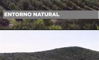Sitio en Venta en Fundo los Olivos Camino a Pencahue a 10 Minutos de Talca