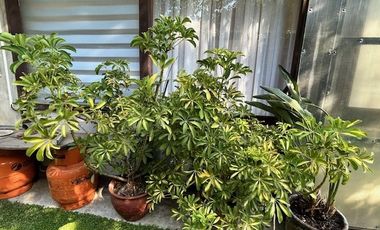 Casa en Venta en Comunidad Mario Montucci Condominio Cerrado