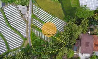 Jual Tanah Pinggir Sungai View Gunung Udara Sejuk Pakem