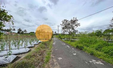 Jual Tanah Pinggir Sungai View Gunung Udara Sejuk Pakem