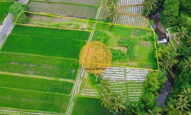 JUAL TANAH PINGGIR SUNGAI JAKAL KM 12,5 VIEW GUNUNG JALAN 2 MOBIL