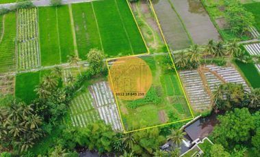 JUAL TANAH PINGGIR SUNGAI JAKAL KM 12,5 VIEW GUNUNG JALAN 2 MOBIL