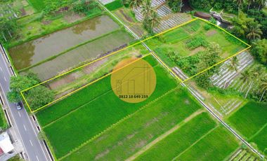 JUAL TANAH PINGGIR SUNGAI JAKAL KM 12,5 VIEW GUNUNG JALAN 2 MOBIL