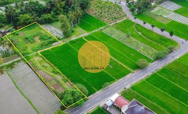 JUAL TANAH PINGGIR SUNGAI JAKAL KM 12,5 VIEW GUNUNG JALAN 2 MOBIL
