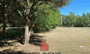 Terreno en  Venta