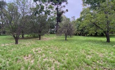 FRACCION 14700m2 - ARGUELLO