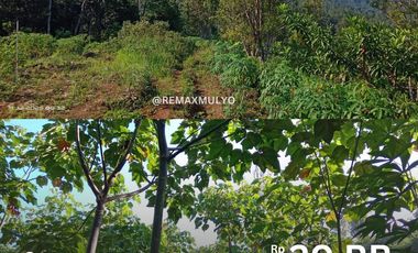 Tanah dijual di Kebumen, Kebumen, Jawa Tengah