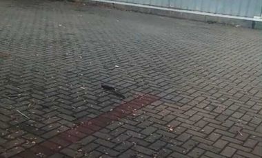 Disewakan Gudang di Jakarta Garden City (JGC) Jakarta Timur