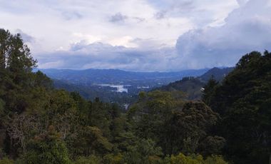 ARRIENDO de FINCAS en EL RETIRO