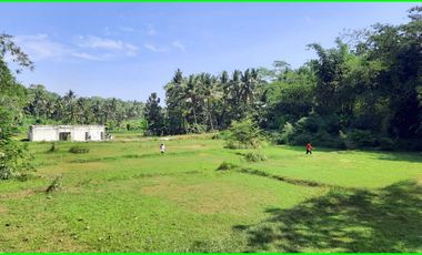 5 menit Pintu Tol Sentolo, Tanah Murah Jogja di Nanggulan