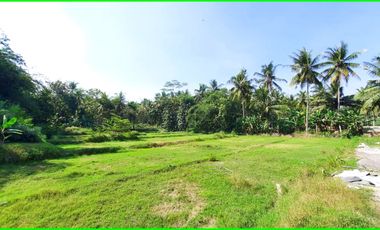 5 menit Pintu Tol Sentolo, Tanah Murah Jogja di Nanggulan
