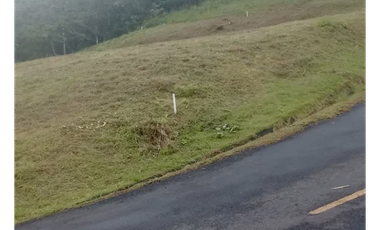 ALTOS DEL MARIA / 1525M / PUNTO ALTO / FRENTE A VIA / ESQUINA