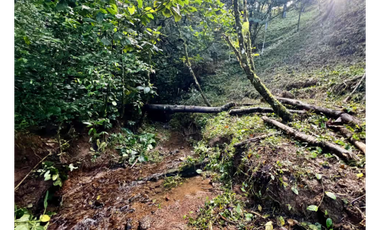 ALTOS DEL MARIA / 1525M / PUNTO ALTO / FRENTE A VIA / ESQUINA