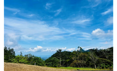 ALTOS DEL MARIA / 1525M / PUNTO ALTO / FRENTE A VIA / ESQUINA