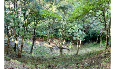 ALTOS DEL MARIA / 1525M / PUNTO ALTO / FRENTE A VIA / ESQUINA