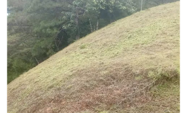 ALTOS DEL MARIA / 1525M / PUNTO ALTO / FRENTE A VIA / ESQUINA