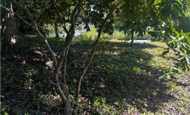 SAN CARLOS / COSTA ESMERALDA / 3300M / PLAYA / AG