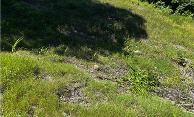 SAN CARLOS / COSTA ESMERALDA / 3300M / PLAYA / AG