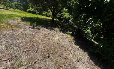 SAN CARLOS / COSTA ESMERALDA / 3300M / PLAYA / AG