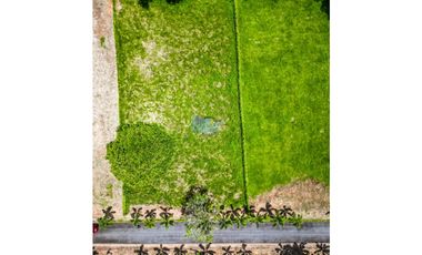 Lote en Restrepo – 2.200 m² con árboles y portería privada 🌳