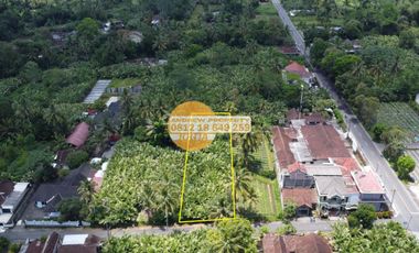 Jual Tanah Sawah Pakem Dekat Jalan Pakem Turi
