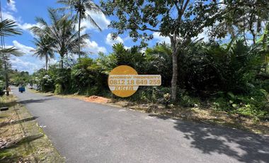 Jual Tanah Sawah Pakem Dekat Jalan Pakem Turi