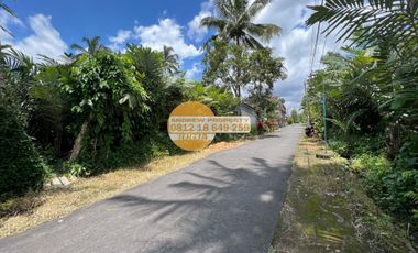 Jual Tanah Sawah Pakem Dekat Jalan Pakem Turi
