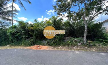 Jual Tanah Sawah Pakem Dekat Jalan Pakem Turi