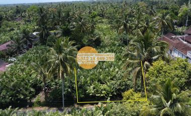 Jual Tanah Sawah Pakem Dekat Jalan Pakem Turi
