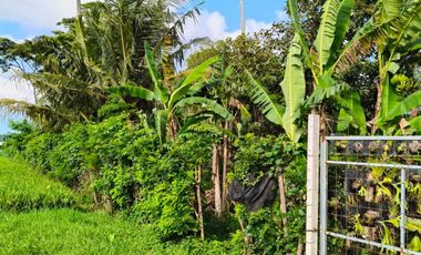 Disewakan tanah lokasi di cepaka selingsing