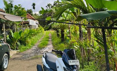 Disewakan tanah lokasi di cepaka selingsing