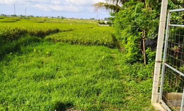 Disewakan tanah lokasi di cepaka selingsing